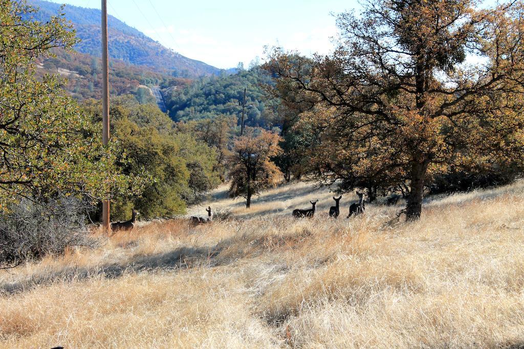 Yosemite Gold Country Lodge Coulterville Bagian luar foto