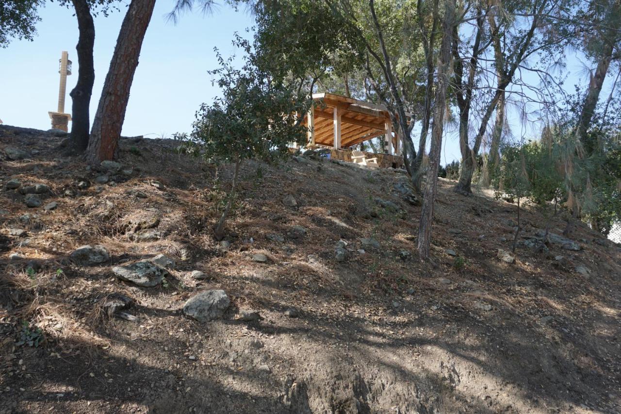 Yosemite Gold Country Lodge Coulterville Bagian luar foto